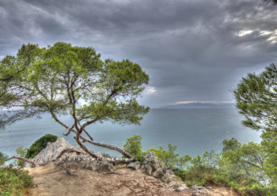 Paisaje Mediterráneo
